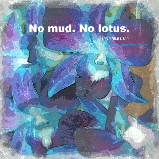 No mud No lotus